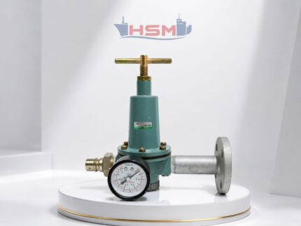 CKD 2001-6C Pressure Regulator Valve Assembly with Gauge