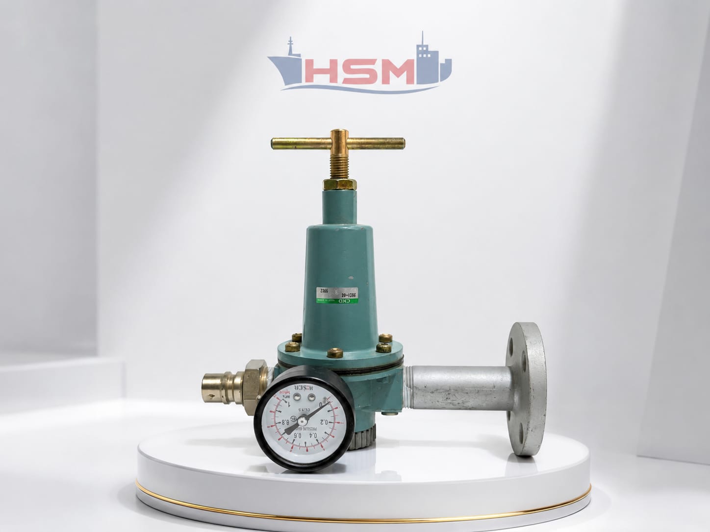 WhatsApp Image 2026-07-17 at 4.23.00 PM (1) CKD 2001-6C Pressure Regulator Valve Assembly with Gauge - Image 1